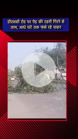 दादरी: डीएससी रोड पर पेड़ की टहनी गिरने से जाम, आधे घंटे तक जाम में फंसे रहे वाहन