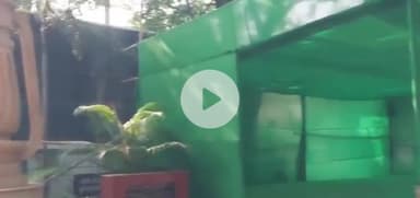 पटना ग्रामीण: राजद कार्यालय में प्रदेश अध्यक्ष के नामांकन की तैयारी पूरी, 14 जून को सुबह 10 बजे से दोपहर 2 बजे तक होगा नामांकन