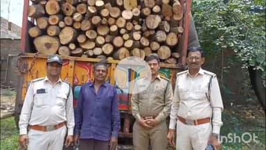 धार: अवैध लकड़ी परिवहन पर कार्रवाई, दो आरोपी गिरफ्तार
