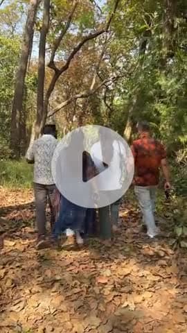 💕❤️साथी 🎉😍❤️
#togheterforever #lifepartner #loveislove #emotions #feeling #God #naturelovers #explorepage #sathi #jungle #Maharajganj #oldmemories