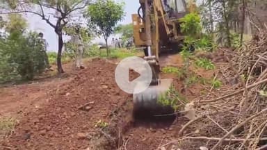 सीतामऊ: गोपालपुरा में अवैध अतिक्रमण हटाया गया, 65 हेक्टेयर वन भूमि अतिक्रमण मुक्त कराई गई