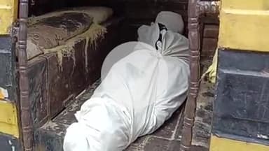 फतेहपुर: थरियांव के अरबपुर मजरे करियामऊ में खेलने के दौरान बालक को जहरीले सर्प ने काटा, मौत से परिजनों का बुरा हाल