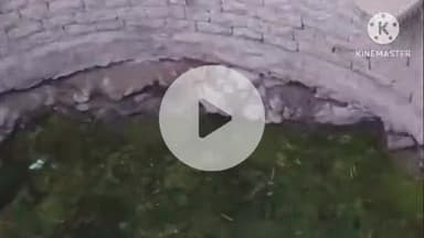 खुरई: बायपास रोड किनारे कुएं में 3 दिनों से फंसा सियार, वन विभाग की टीम को देख बिल में घुसा, रेस्क्यू नहीं हो पाया