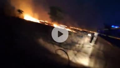 रामगंजमण्डी: हरिपुरा रोड स्थित केंद्रीय प्लांटेशन में लगी आग, सैकड़ों पौधे जलकर हुए नष्ट