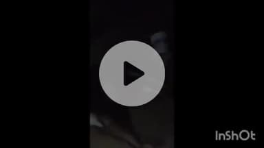 मीरगंज: परचई गांव में हाई टेंशन करंट का कहर, खेत से लौटते वक्त गिरी बिजली लाइन से दो बैल झुलसकर मरे