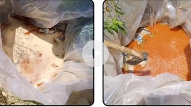 सासाराम: सासाराम के सीता बिगहा में अवैध महुआ पास को किया गया नष्ट