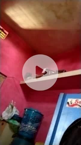 khatu seyam  mandir jxhsyhs gzbhd