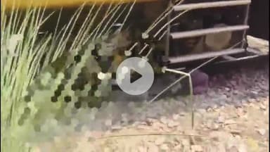 इटावा: सिविल लाइन इलाके के मैनपुरी फाटक पर ट्रेन से कटकर अधेड़ की दर्दनाक मौत, पुलिस ने शव कब्जे में लेकर शुरू की जांच