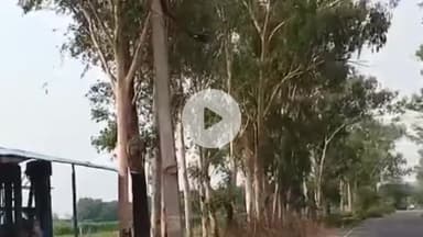 नौगावां सादात: नौगांवा तहसील क्षेत्र में किसान बिजली विभाग से परेशान, भाकियू शक्ति ने दी आंदोलन की चेतावनी #jansamasya