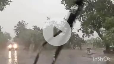 औरैया: ककोर मुख्यालय के समीप अचानक मौसम में बदलाव के बाद आए आंधी-तूफान और बारिश से कई पेड़ धराशाई, 11000 लाइन का पोल भी गिरा