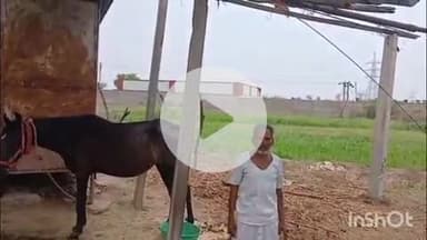 बारां: कोटा रोड हाउसिंग बोर्ड कॉलोनी में तेज अंधड़ के कारण गरीबों के उड़े आशियाने, चद्दर व टंकी भी उड़ी