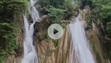 देहरादून: कैम्पटी फॉल मसूरी में सांप दिखने से मची अफरा-तफरी, वीडियो हुआ वायरल