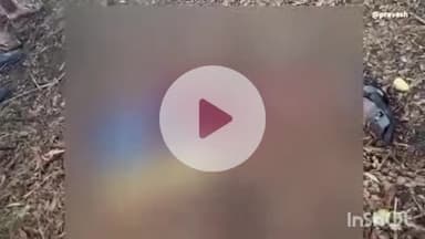 औरैया: कोतवाली क्षेत्र के ग्राम भरसेन में आकाशीय बिजली गिरने से पिता की मौत, पुत्री घायल, परिजनों में मचा कोहराम