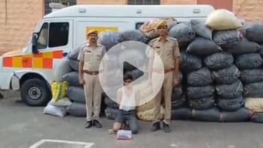 पचपदरा: बालोतरा पुलिस ने दो बड़ी कार्यवाही में 1179 किलोग्राम डोडा पोस्त के साथ एक तस्कर को किया गिरफ्तार