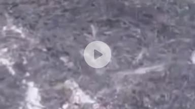 नौगावां सादात: नौगांवा के गांव बीवडा कला में दबंगों ने खेत में लगाई आग, तीन लाख का नुकसान, कोर्ट के आदेश पर दर्ज हुआ मुकदमा