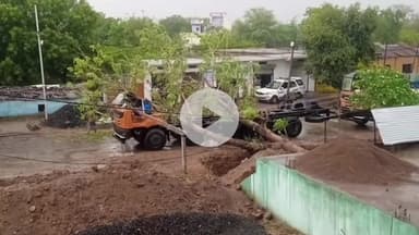 बहादुरपुर: बहादुरपुर में तेज हवा और आँधी की वजह से कई जगहों पर गिरे पेड़ व विद्युत पोल