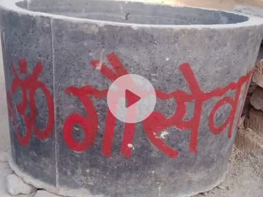 पोरसा: पोरसा में गौ सेवकों ने बेजुबान पशुओं के लिए रखी नाद टंकी, भरा जा रहा ठंडा जल