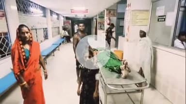 बेगूसराय: बेगूसराय में आवारा कुत्तों का आतंक, 4 लोगों को काटकर किया घायल