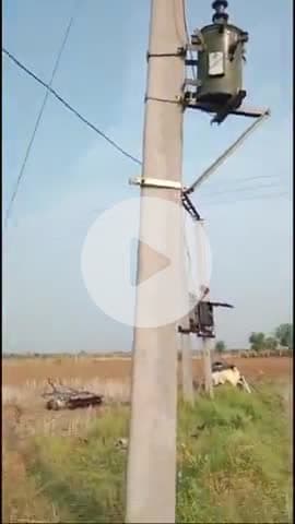 टोंक: ग्राम प्यावड़ी में ट्रांसफार्मर पोल में आए करंट से भैंस की हुई मौत, पशुपालक को हुआ एक लाख रुपए का नुकसान