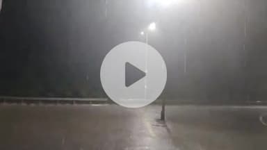 మహబూబ్ నగర్ అర్బన్: మహబూబ్నగర్ నగర్ లోమయూరి అర్బన్ ఎకోపార్క్ తిరుమల హిల్స్, అప్పన్నపల్లి, ఏనుగొండ తదితర ప్రాంతాలలో భారీ వర్షం కురిసింది