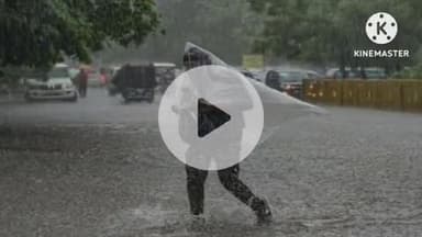 खरगौन: जिले में अब तक 18 मिमी औसत बारिश दर्ज की गई, भू-अभिलेख कार्यालय से मिली जानकारी