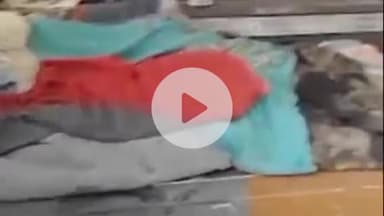 सहजनवा: गीडा इलाके में 6 साल की बच्ची से हुआ रेप, प्राइवेट पार्ट से खून निकलने के बाद आरोपी भागा, पिता आए तो दर्द से कराहती मिली