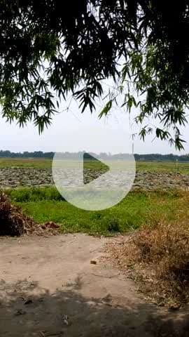 यह जो जमीन है इस पर टाइटल सूट का केस चल रहा है। और अगला पार्टी ने लाठी के बल मखाना लगा दिया हैं। Vill -Dighapar