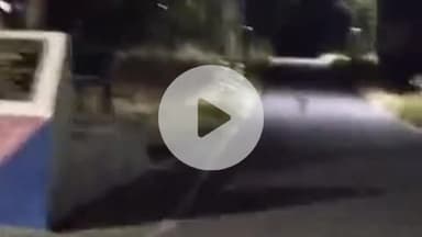 लाडपुरा: शिवपुरा आरएसी रेंज में घूमते लेपर्ड का वीडियो ट्रैकिंग कैमरे में हुआ कैद, लोगों में दहशत