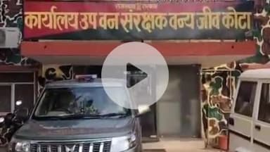 लाडपुरा: हाड़ौती के जंगलों में 2025 वन्यजीव गणना पूरी, लुप्त होते जीवों और लेपर्ड की संख्या बढ़ी- DFO भटनागर