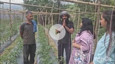 कंडाघाट: विकसित कृषि संकल्प यात्रा के दौरान KVK कंडाघाट के वैज्ञानिकों ने पलहेच गांव में किसानों के खेतों का किया दौरा