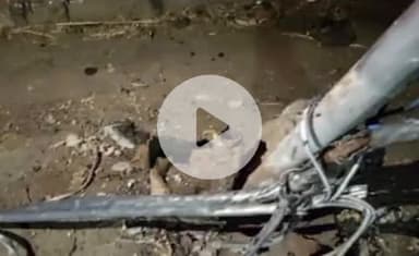 बारां: शहर के कोटा रोड पर बिजली का पोल गिरने से समाज कल्याण विभाग के सहायक प्रोग्रामर की हुई मौत