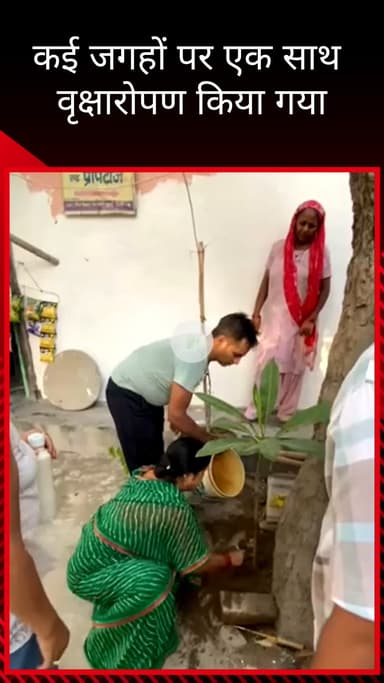 सिविल लाइन्स: बुराड़ी इलाके में भाजपा कार्यकर्ताओं और स्थानीय लोगों ने कई जगहों पर किया वृक्षारोपण