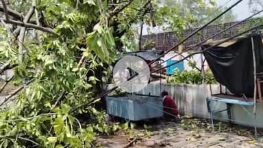 सागर नगर: सागर में तेज हवाओं के साथ जोरदार बारिश, कलेक्टर कार्यालय के बाहर चाय की टपरी पर गिरा पेड़, विद्युत तार भी टूटे