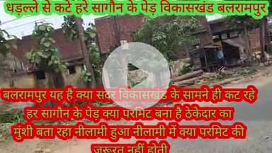 बलरामपुर समाचार बिना परमिट खंड विकास कार्यालय के सामने कटे हरे सागौन के पेड़ जिम्मेदार वन विभाग के अधिकारियों ने कहाहम ज