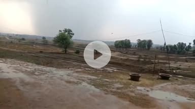 देवसर: देवसर में पहली बारिश के साथ दुखद घटना, आकाशीय बिजली गिरने से नाबालिग बच्ची घायल, दो बैलों की मौत