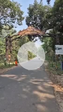 पीलीभीत: टाइगर रिजर्व के पर्यटन सत्र का हुआ समापन, 56 हजार 741 पर्यटक ने लिया पर्यटन का लुफ्त