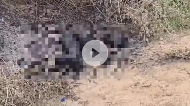 बाढ़: फोरलेन पर मिला किशोर का अधजला शव, पुलिस जांच में जुटी