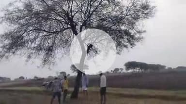 झांसी: झांसी में बिजली गिरने से 2 व्यक्तियों की मौत, रविवार से 4 दिनों तक बारिश का अलर्ट