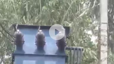 रामपुर: बंजरिया क्षेत्र के ग्राम परशुपुरा में ट्रांसफॉर्मर खराब होने के कारण 7 दिन से विद्युत आपूर्ति बाधित