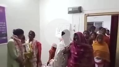 गुमला: गढ़ टोली जंगल में पूजा करने गए ग्रामीणों पर भंवरों के झुंड का हमला, 6 घायल