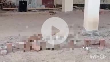 बांका: सदर अस्पताल परिसर में पोस्टमार्टम हाउस के पास कुत्ते ने नवजात के शव को नोचा, वीडियो वायरल