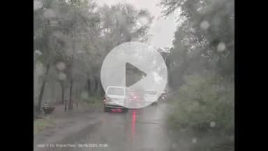 पांकी: पांकी मेदनी नगर मुख्य रोड नीमा चक में पेड़ गिरने से सड़क बाधित, वाहनों की लगी लंबी कतार