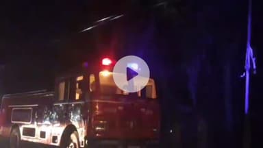 मिलक: पटवाई चौराहे के पास 11000 की बिजली लाइन में उठी चिंगारी से सूखे पेड़ में लगी भीषण आग