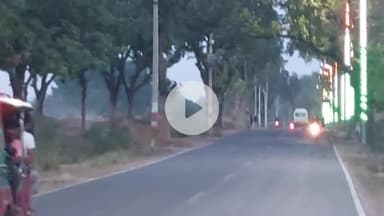 सिराथू: कड़ा इलाके में बढ़ते जा रहे नीलगाय के झुण्ड से राहगीरों को खतरा, किसानों का भी हो रहा नुकसान #jansamasya