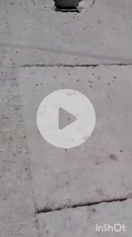 पलिया: कालरात्रि मंदिर को जाने वाली सड़क पर 15 दिन पहले बनी पुलिया ढही, घटिया सामग्री के इस्तेमाल पर भड़के लोग