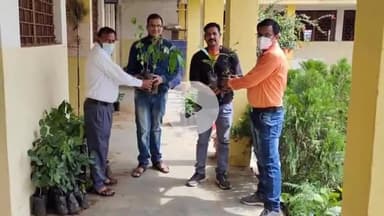 चांद: चांद नगर में टीचर वेलफेयर सोसाइटी के सदस्यों द्वारा पौधारोपण