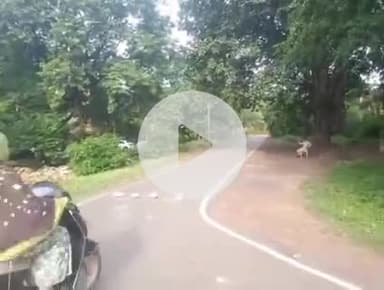 कुंडम: सदाफल में घर के सामने कच्ची शराब बेचता आरोपी गिरफ्तार, 6 लीटर शराब जब्त