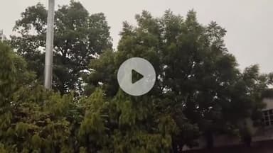 कटनी नगर: प्री-मानसून की पहली बारिश से सुहाना हुआ मौसम, किसानों के लिए वरदान