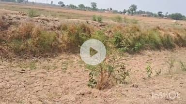 चरपोखरी: चरपोखरी की नहरों में पानी नहीं छोड़े जाने से किसानों के समक्ष उत्पन्न हुई भीषण समस्या #jansamasya