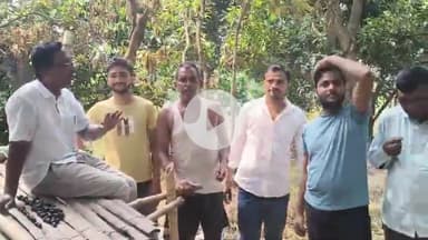 आरा: निर्मलपुरं बागिचा में जामुन का फल खाते हुए भाकपा माले नेता क्यामुद्दीन अंसारी.